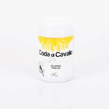 Coda Cavallo 200 cps (Equiseto)
